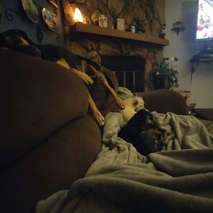 Meet your Posher, Robin